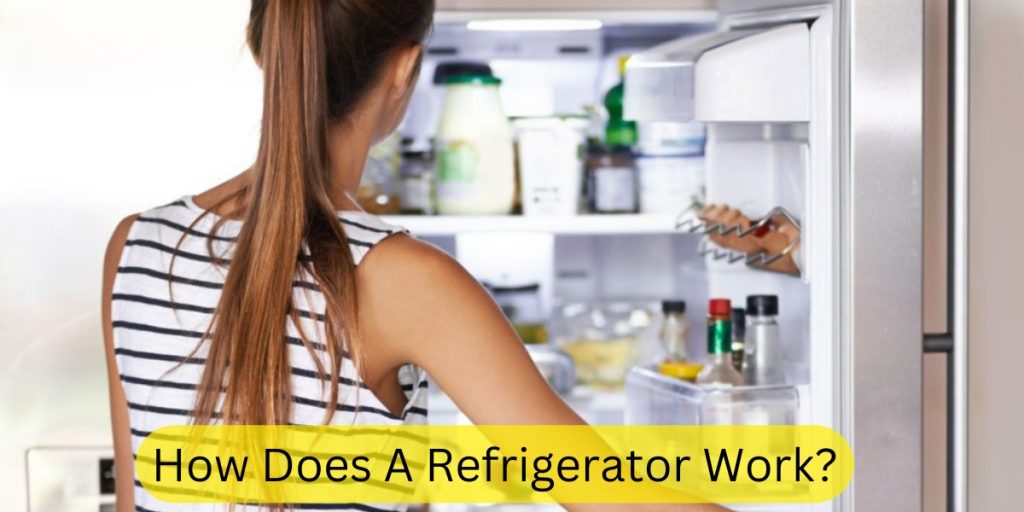 How Does A Refrigerator Work?