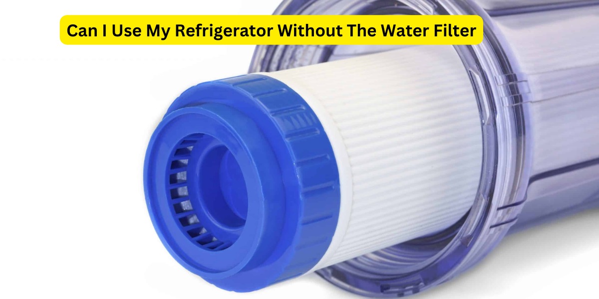 Can I Use My Refrigerator Without The Water Filter?