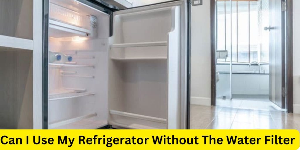Can I Use My Refrigerator Without The Water Filter?