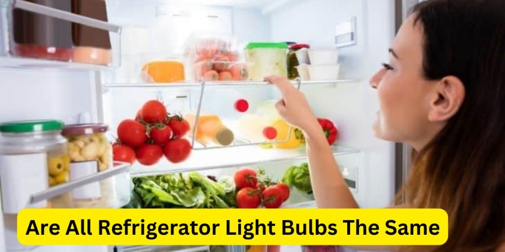 Are All Refrigerator Light Bulbs The Same