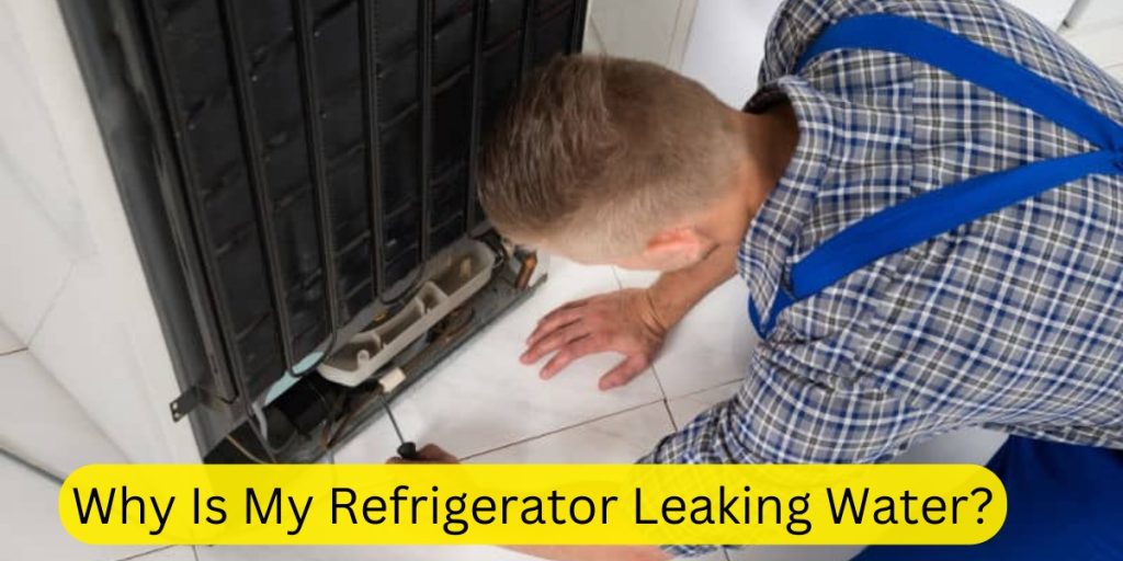 Why Is My Refrigerator Leaking Water?