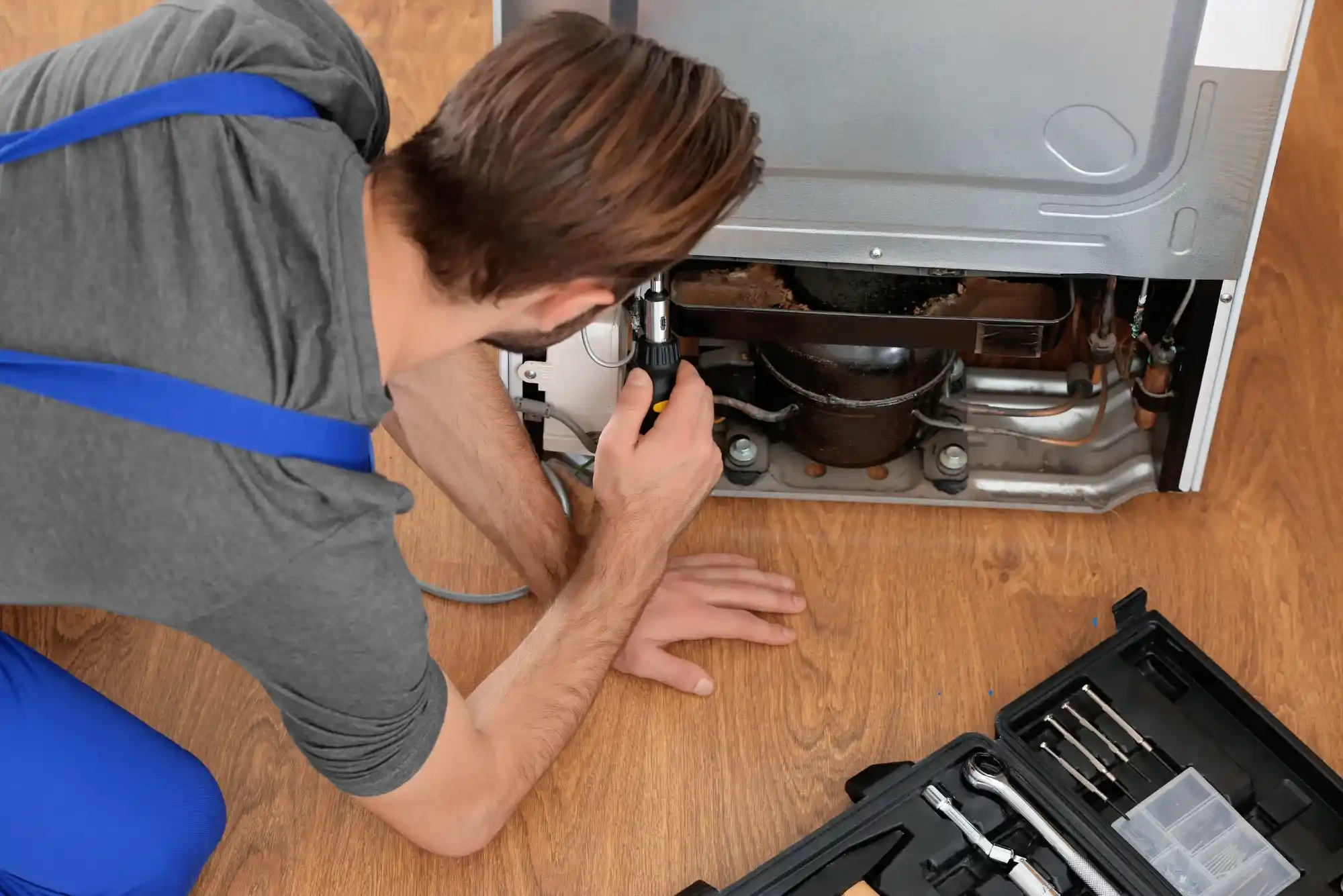 Fridge Repair Service Jumeirah Park Dubai