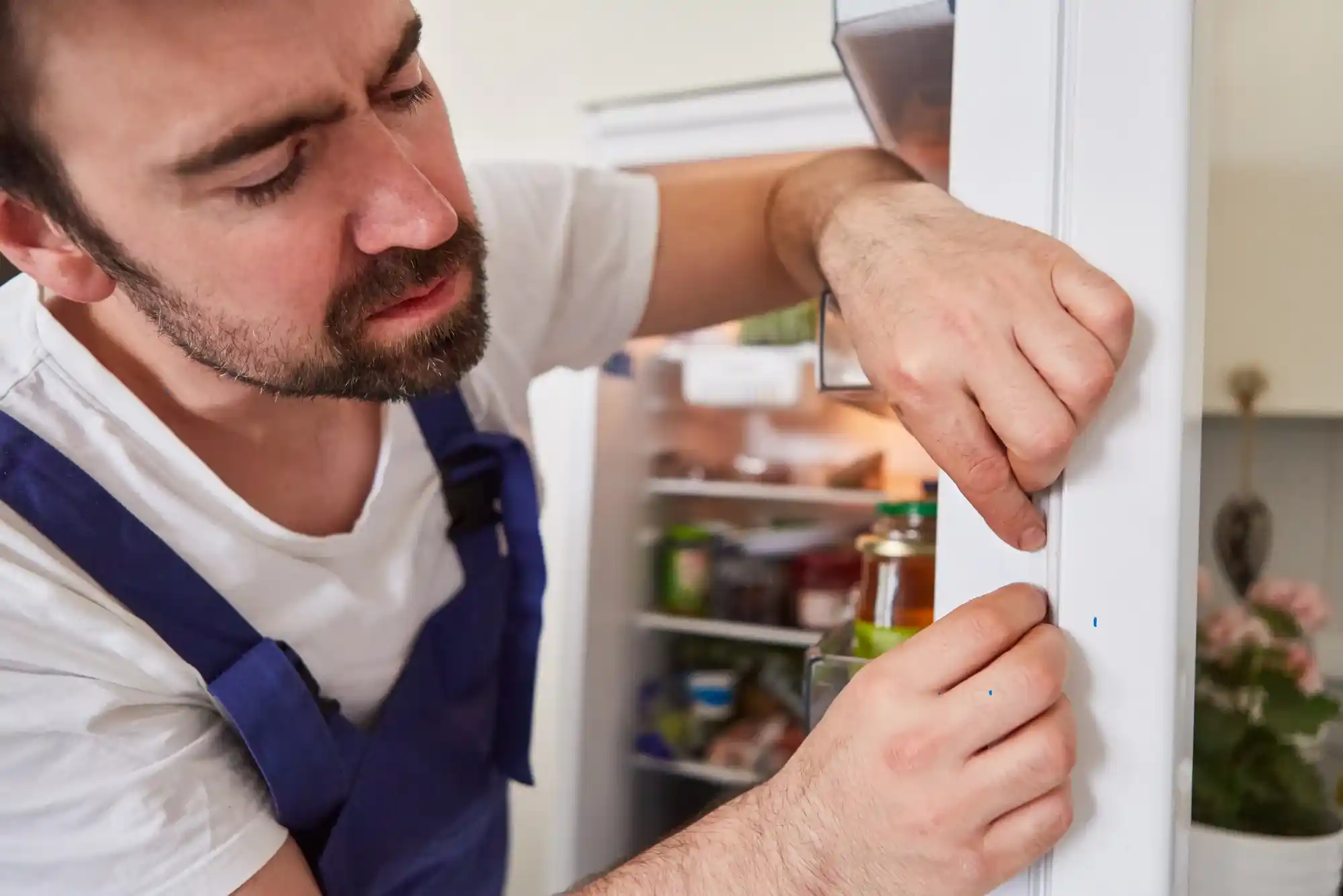 Oven Repair Service in Blue Water Dubai