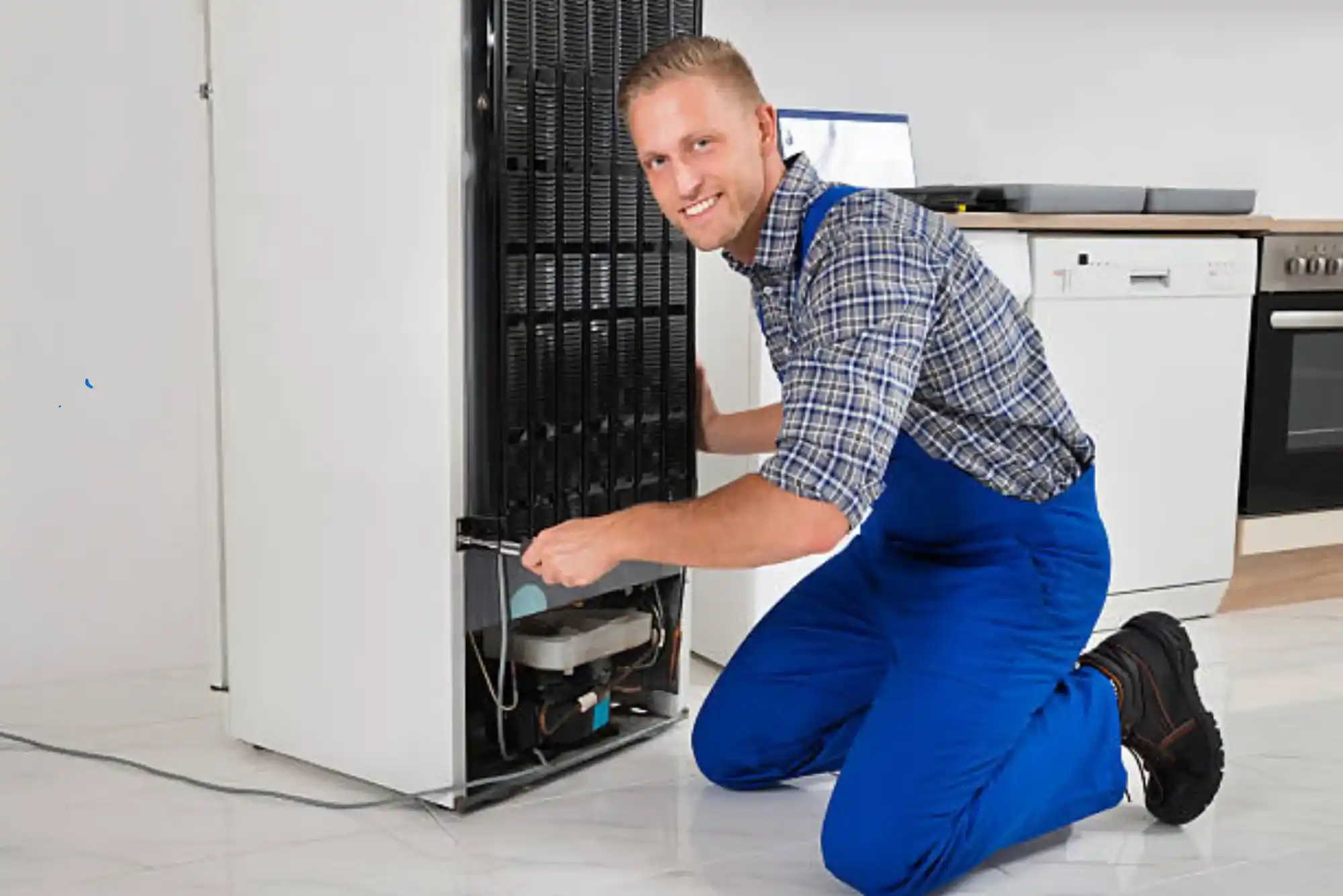 Refrigerator Repair Service Green Community Dubai