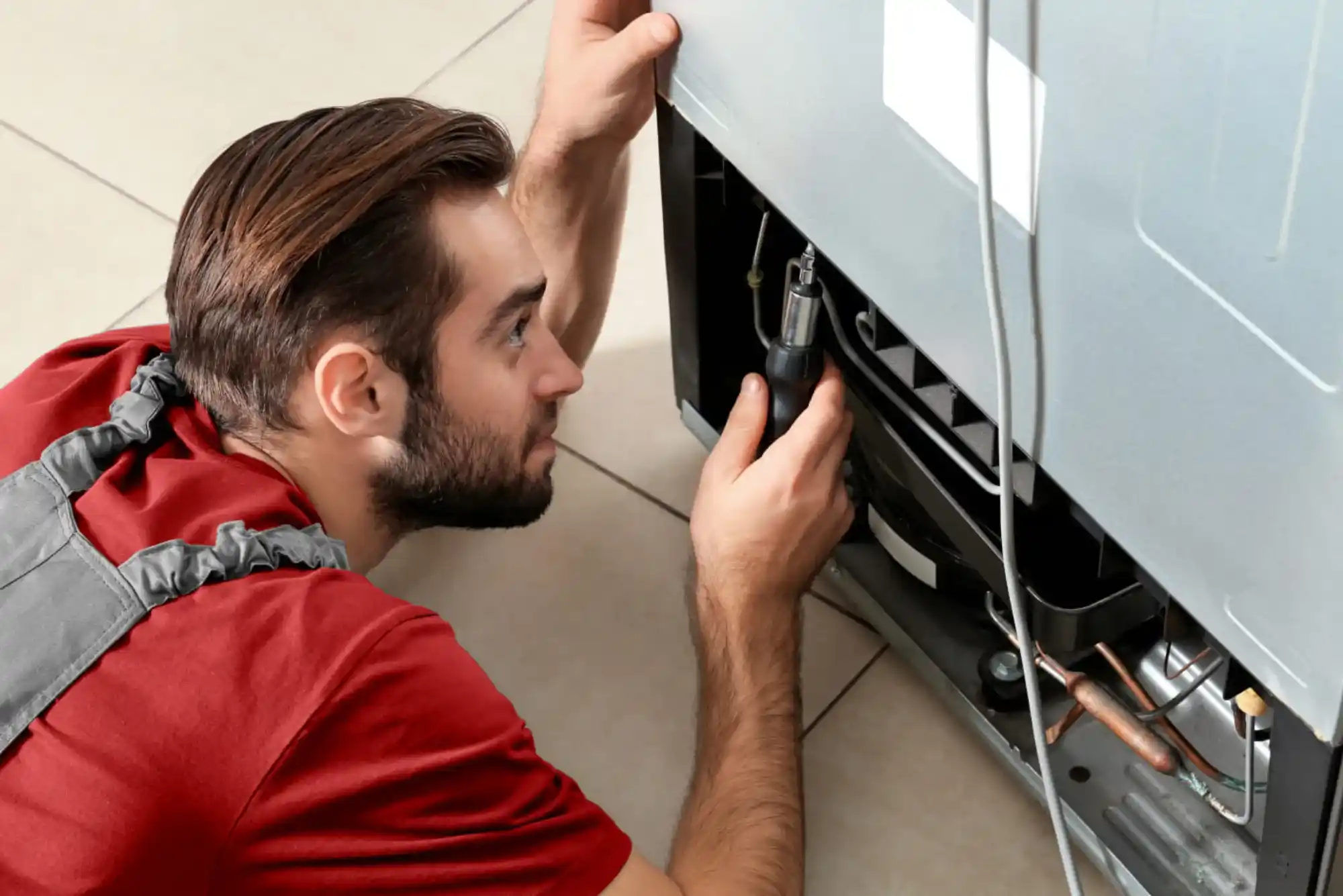 Refrigerator Repair Service The Lakes, Dubai