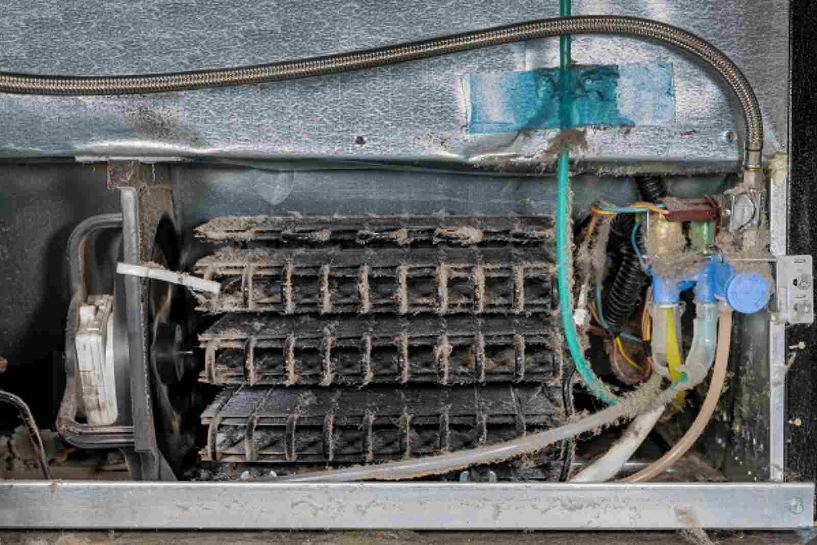 Why Your Fridge Is Making Loud Noises
