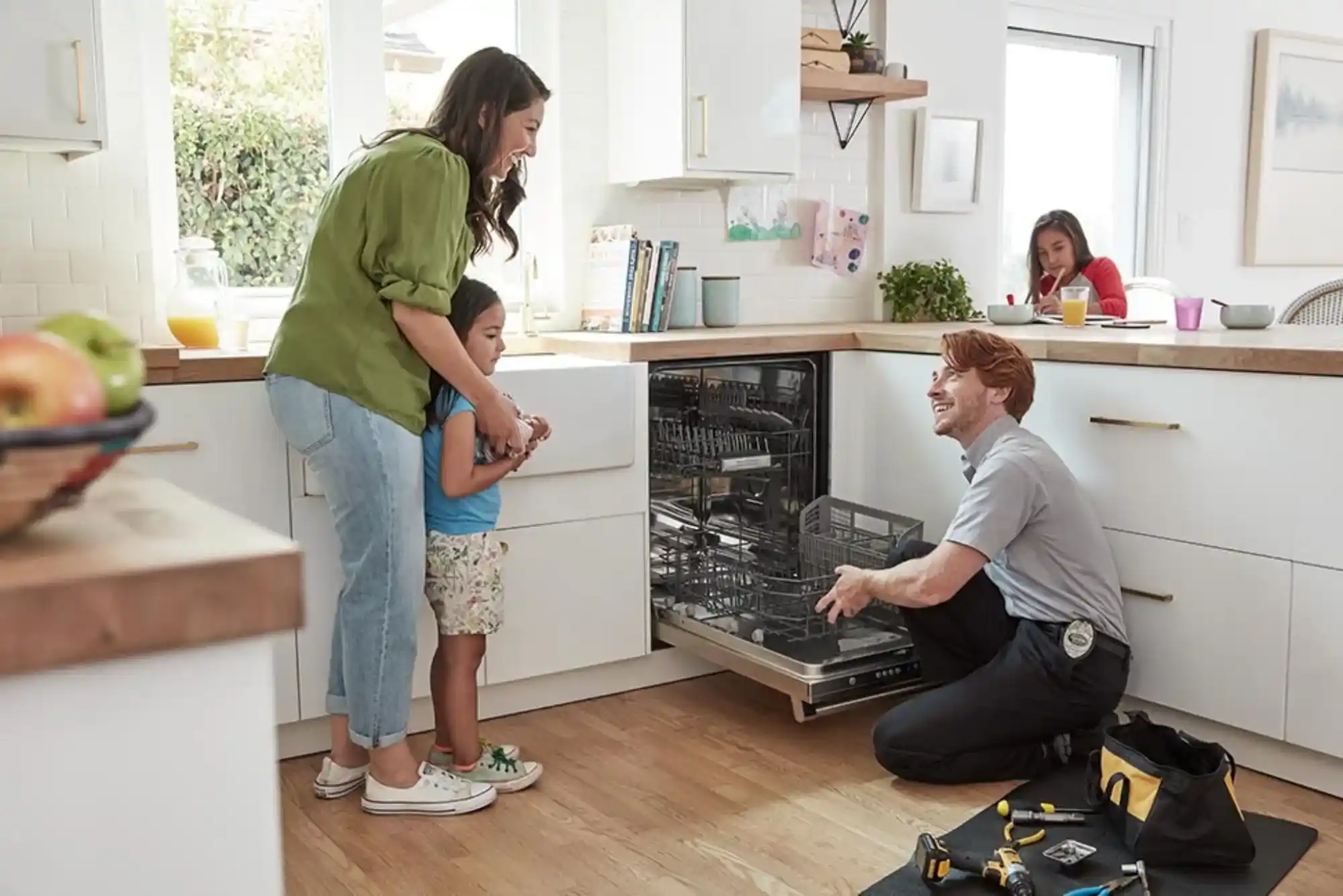 Expert Dishwasher Repair Solutions