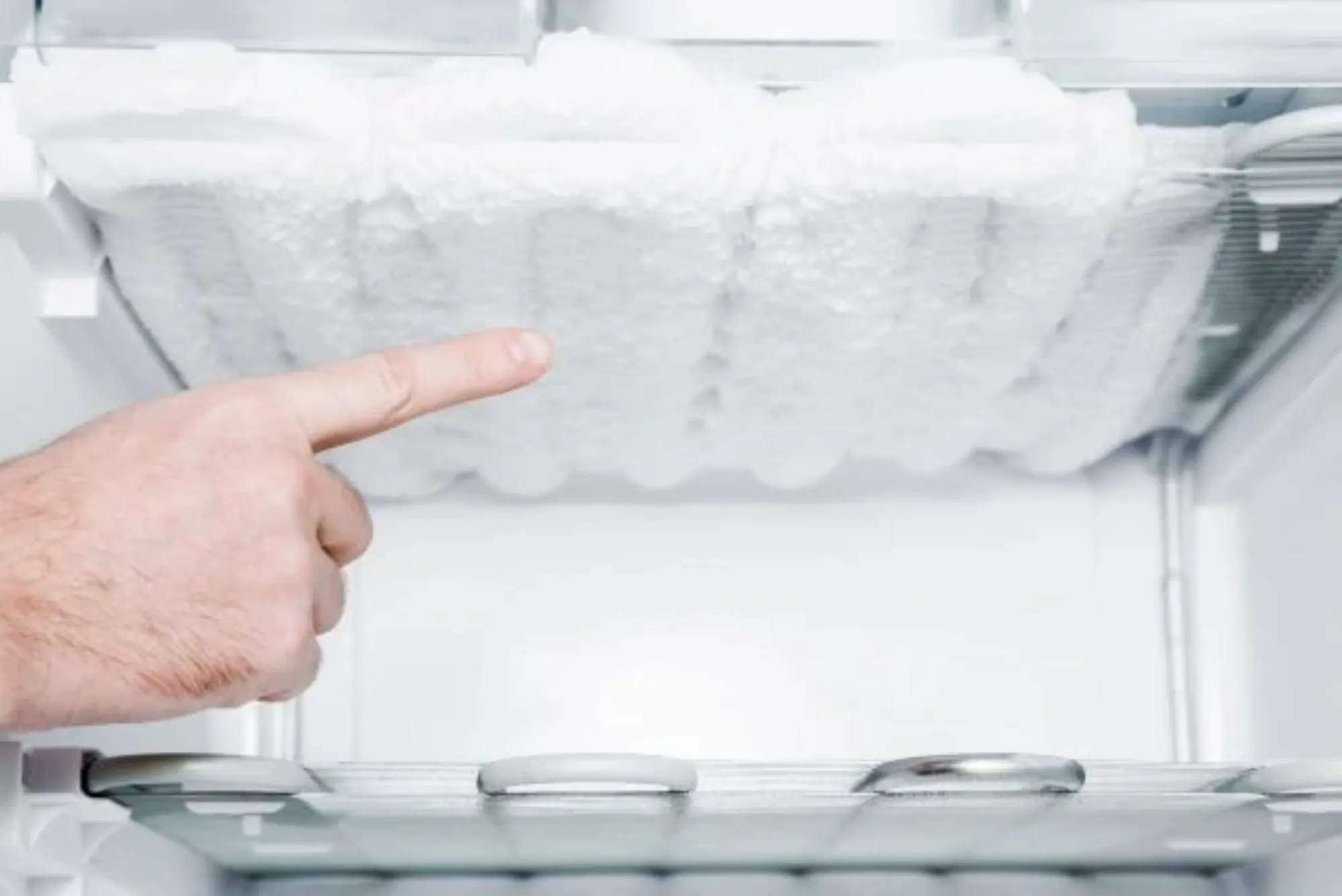 Fridge not Defrosting Automatically