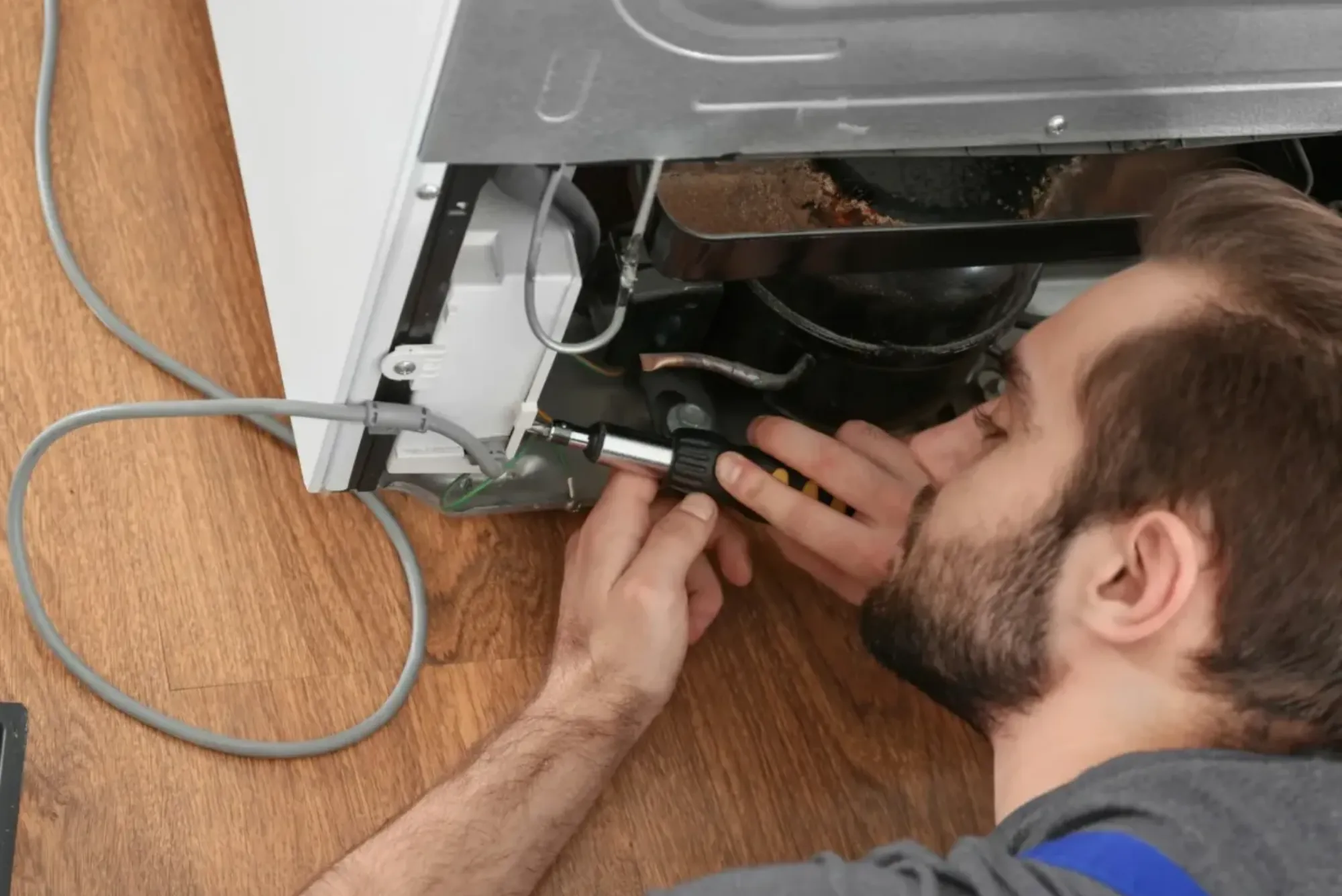 Fridge Service and Repair Home Visit